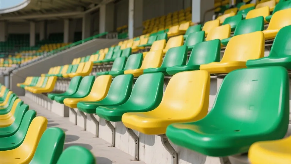 赛程与观赛指南插图